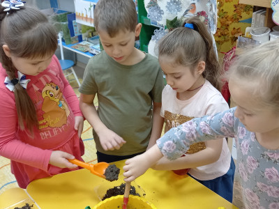 Наш богатый растительный мир.