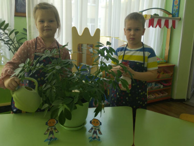 Занимаемся 