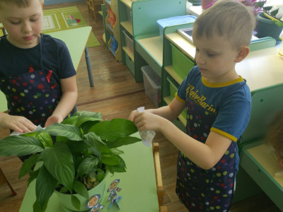 Занимаемся 