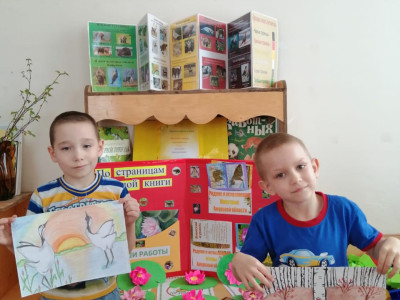 Детский сад 238 ОАО РЖД пгт Уруша. Экология. Безопасность на нашей планете. Экологическая акция  "Путешествие по страницам Красной книги"