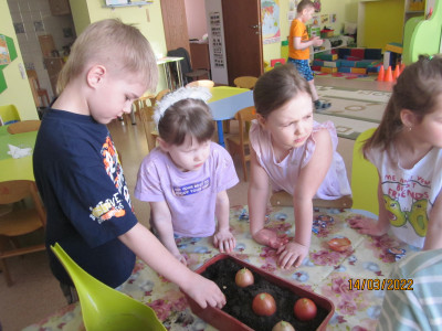 В Квадросибири готовятся к огородному сезону - высаживают рассаду.