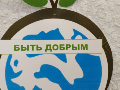 Квадролетопись. Начальная школа  - детский сад №67 г. Челябинск,  1 класс