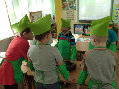 Эколята - квадроцветики семена  посадили, Все взрыхлили и полили, А теперь дождаться надо, Чтоб взошла наша рассада Детский сад № 57 ОАО "РЖД" г. Смоленск. 