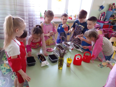 Огород на окне Сатуракиндеров