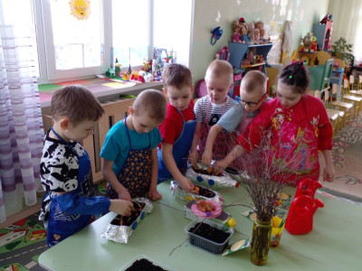 Огород на окне Сатуракиндеров