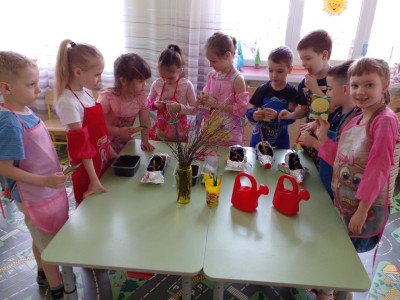 Огород на окне Сатуракиндеров