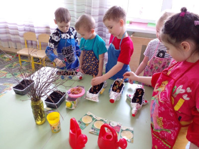Огород на окне Сатуракиндеров